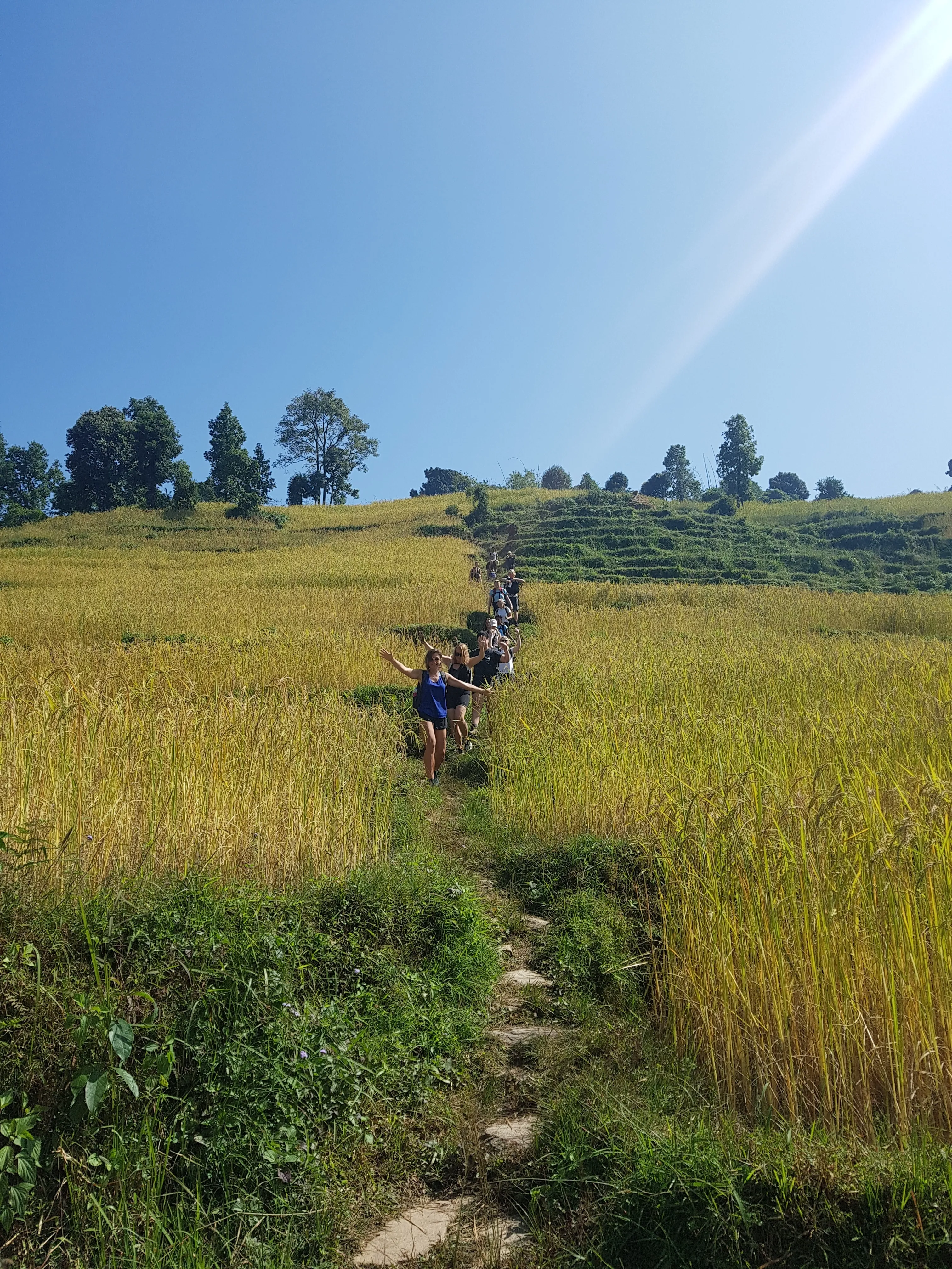 Hiking