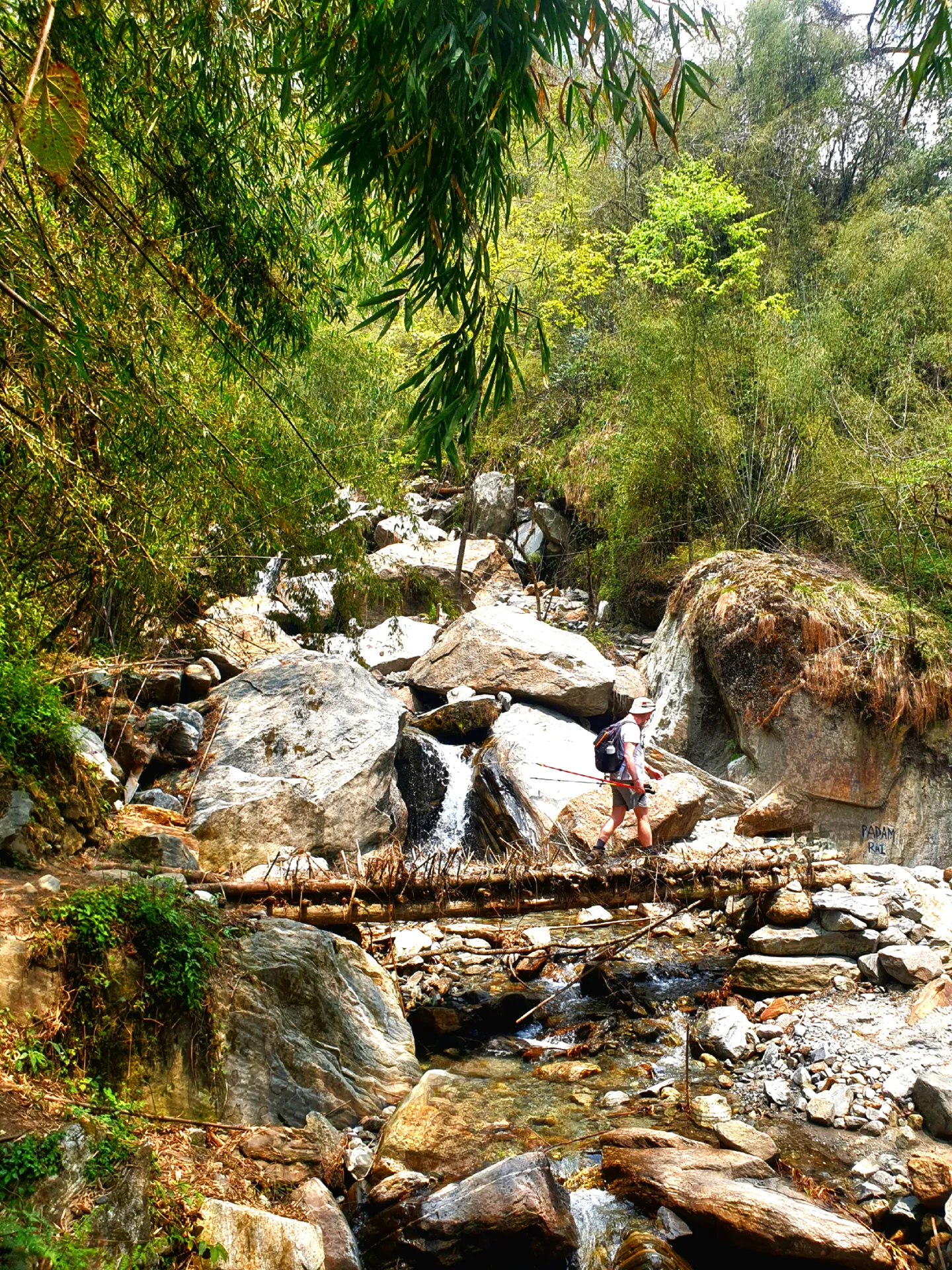 Annapurna base camp 